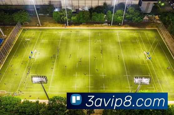 App Interface Preview